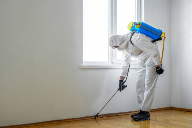 Pest Control for Hotels in Rosendale, WI